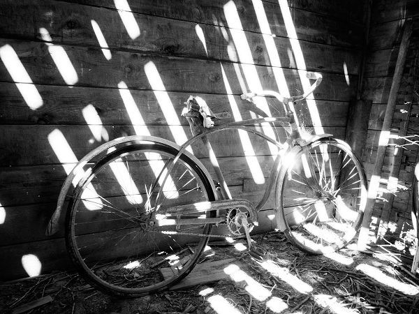 Old bicycle inside barn with shadows streaming
